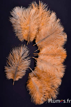 Struisvogel Bellies -8-13 cm - zalm